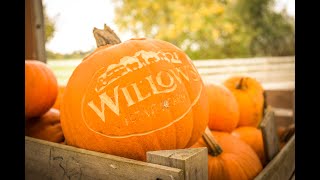 Willows Activity Farm Pumpkin Festival 2023