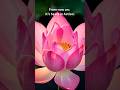 Spirit in Action – Step into Your Power