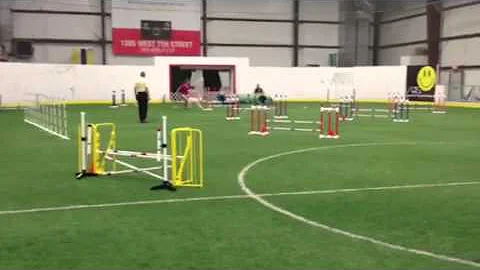 Aspen and Aileen Frederick dog agility trial. Day 2