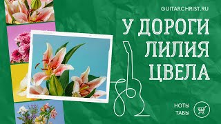 У дороги лилия цвела - на гитаре (ноты и табы)