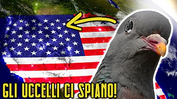 Come si chiamano gli amanti degli uccelli?