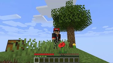 Getting Started In Skyblock! | Minecraft 1.15 Skyblock | No.01