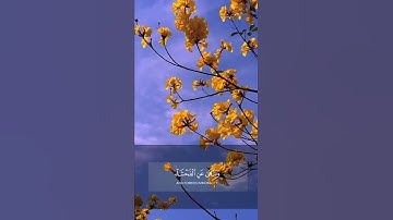 إن الله يأمر بالعدل والإحسان | تلاوة عطرة مع صوت تغريد جميل | عبد الرحمن مسعد