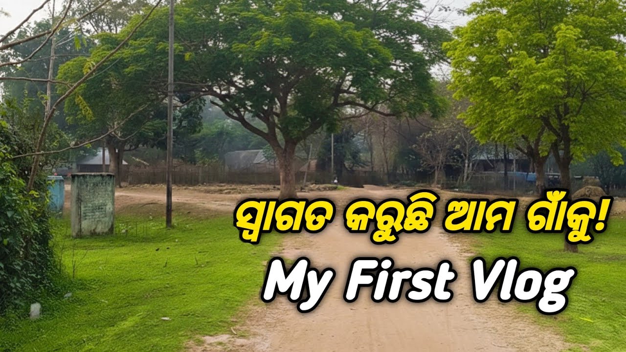 ସ୍ୱାଗତ କରୁଛି ଆମ ଗାଁକୁ! 🙏 || My First Vlog ||​  Darbarpur Toka #darbarpurtoka #myfirstvlog #odiavlog 