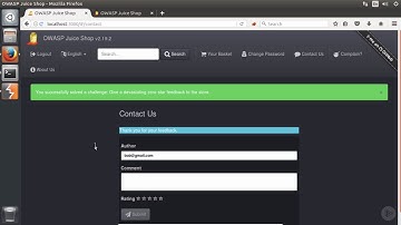17  Using Burp to Perform Parameter Tampering
