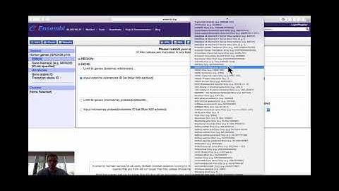 Clip: Gene ID conversion with BioMart