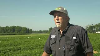 2023 Georgia Peanut Tour - Albert Culbreath