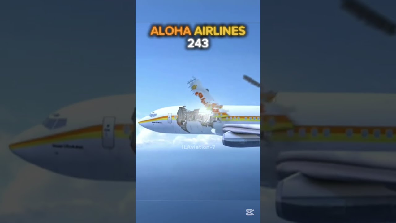 Just A Normal Scene From Miracle Landing Aloha Flight 243 Shorts