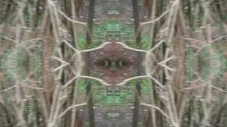 kaleidoscope filter test screenshot 4