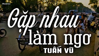 Gặp Nhau Làm Ngơ - Tuấn Vũ (Tác giả: Trần Thiện Thanh) | Nhạc Vàng Xưa Bất Hủ