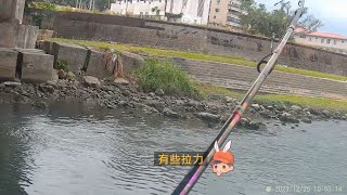 美崙溪出海口 釣況分享 Wild fishing in Taiwan. [嘟嘟釣魚狂#245] 2023/12/25