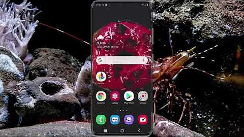 Samsung Galaxy S20 : How to enable HEIF pictures camera (Android 10)