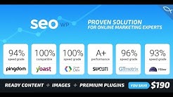 SEO WP - Online Marketing, SEO, Social Media Agency WordPress Theme Review +Download