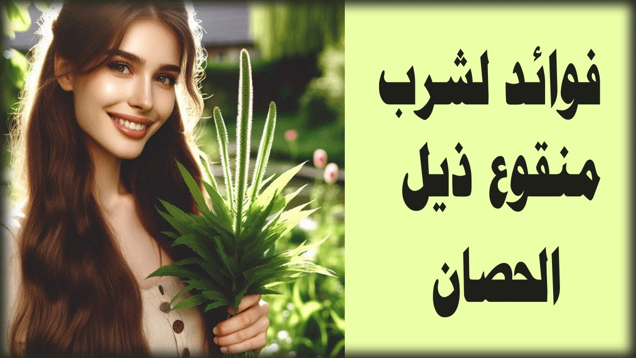 فوائد لشرب منقوع  عشبة ذيل الحصان