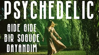 Gide Gide Bir Söğüde Dayandım Psychedelic Rock Cover The Anatolian Trip Resimi