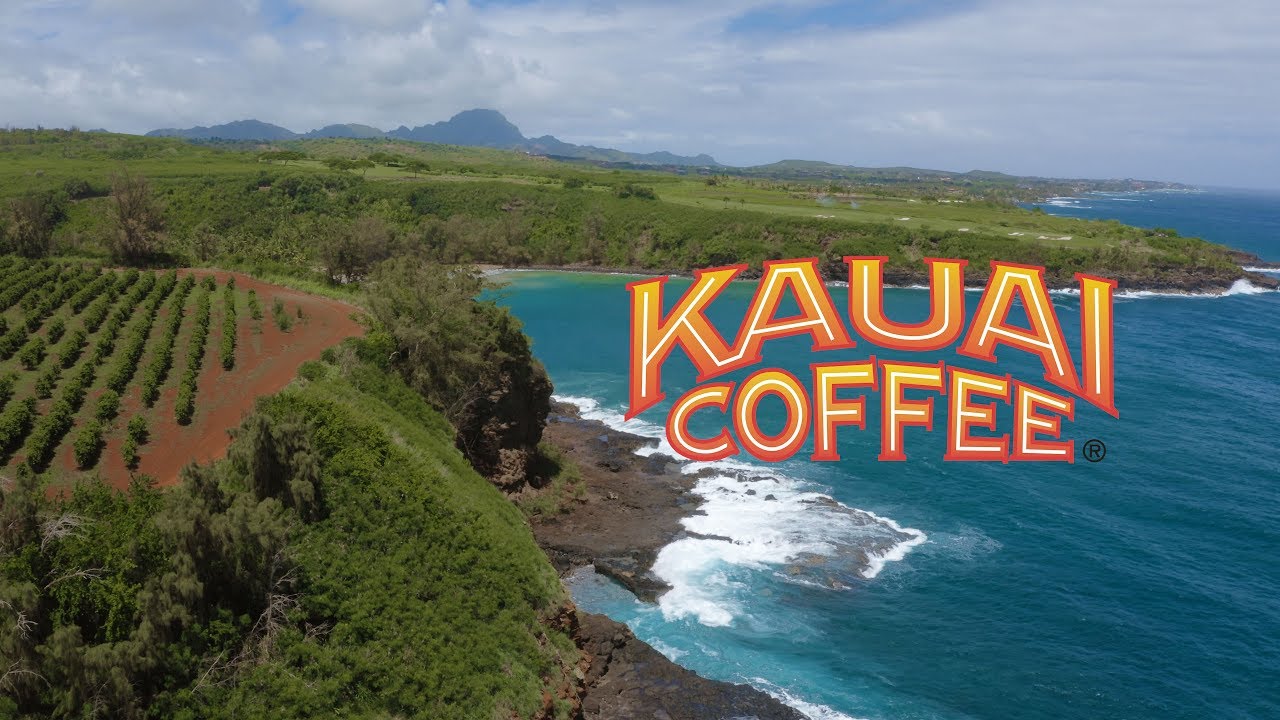 Kauai Coffee Farm - Hawaii's Best Coffee - YouTube