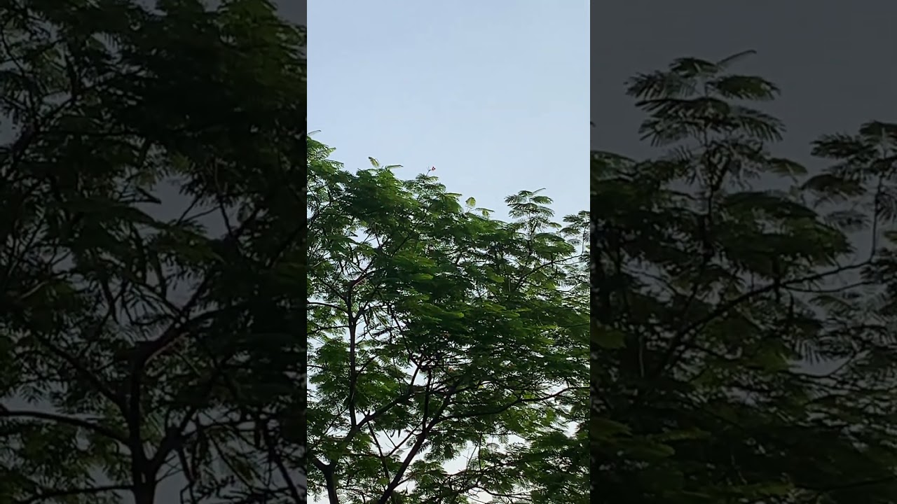 Appreciate nature more 