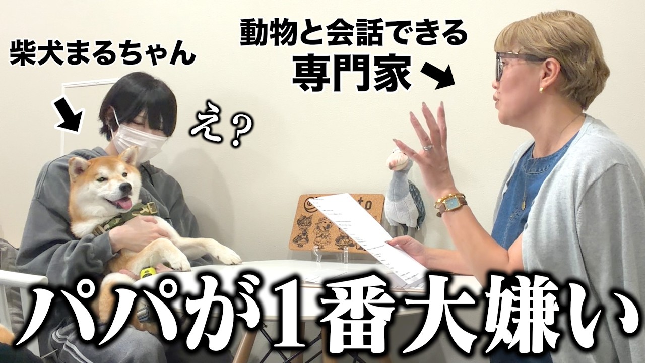 「家族で1番嫌いなのは誰？」動物と会話ができる人に愛犬の本音を聞いてもらった結果が衝撃的でした。