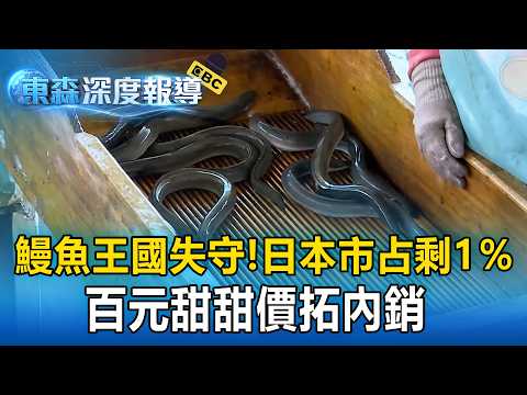 鰻魚王國失守！日本市占剩1％ 百元甜甜價拓內銷 【東森深度報導】
