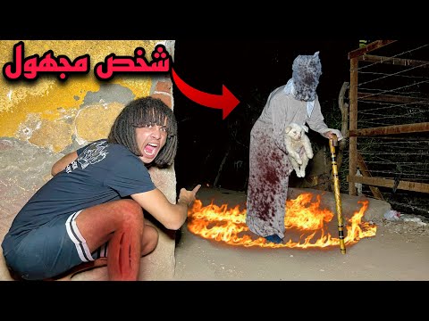 شخص مجهول اقتحم بيتي وخطف الكلب الجديد