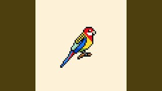 Eastern Rosellas (Full Band)