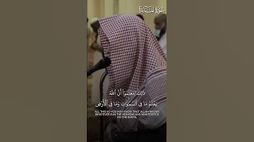 يسألونك عن الجمال، فقل لهم في تلاوات الشيخ عبدالله!♥️ | تلاوة بديعة للشيخ د.#عبدالله_القرافي