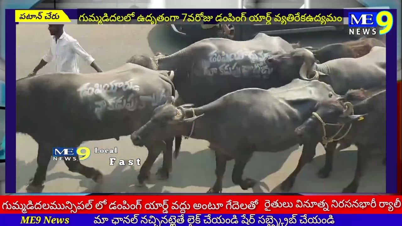 జాతీయ రహదారిపై పాడి పశువుల తో వినూత్న నిరసన తెలిపిన రైతులు