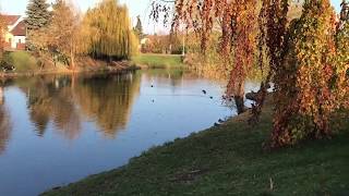 Lokalita Praha Kbely Pohádkové Místo S Výbornou Dostupností