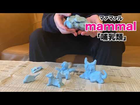 【語呂合わせ】mammal（哺乳類）の覚え方