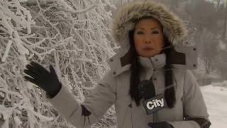 Video: Winter storm hits Hamilton and the Niagara region