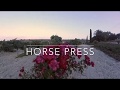 Horse press to pepe se protege de las plagas con rosas