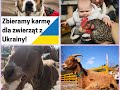 POMAGAMY ukraińskim i polskim zwierzętom 🇺🇦🐾🇵🇱🐾