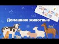 Занятия для дошкольников | Развитие речи | Тема: Домашние животные