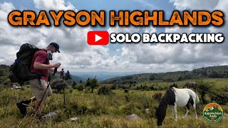 Solo Backpacking Grayson Highlands | Wild Ponies & Mountain Views