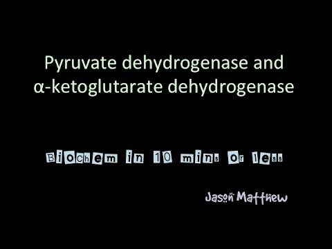 Video: Ein Strategisch Entworfenes Kleines Molekül Greift Die Alpha-Ketoglutarat-Dehydrogenase In Tumorzellen Durch Einen Redoxprozess An