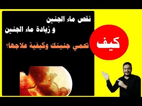 فيديو: كيف تحمي نفسك من الأخطار على المياه والنقل المائي