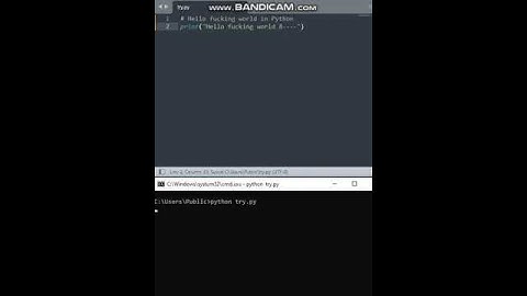 Python Hello **** World