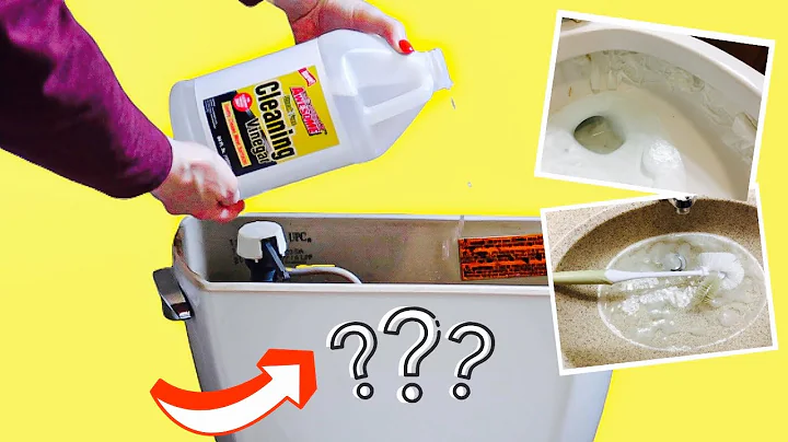 Put VINEGAR into your TOILET and WATCH What Happen...