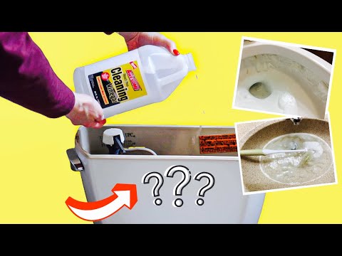 Put VINEGAR into your TOILET and WATCH What Happens!! (Bathroom Cleaning Hacks)