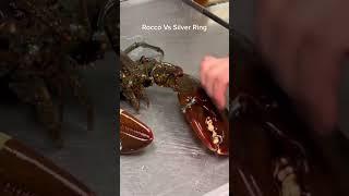 Can Rocco Crush A Silver Ring??    