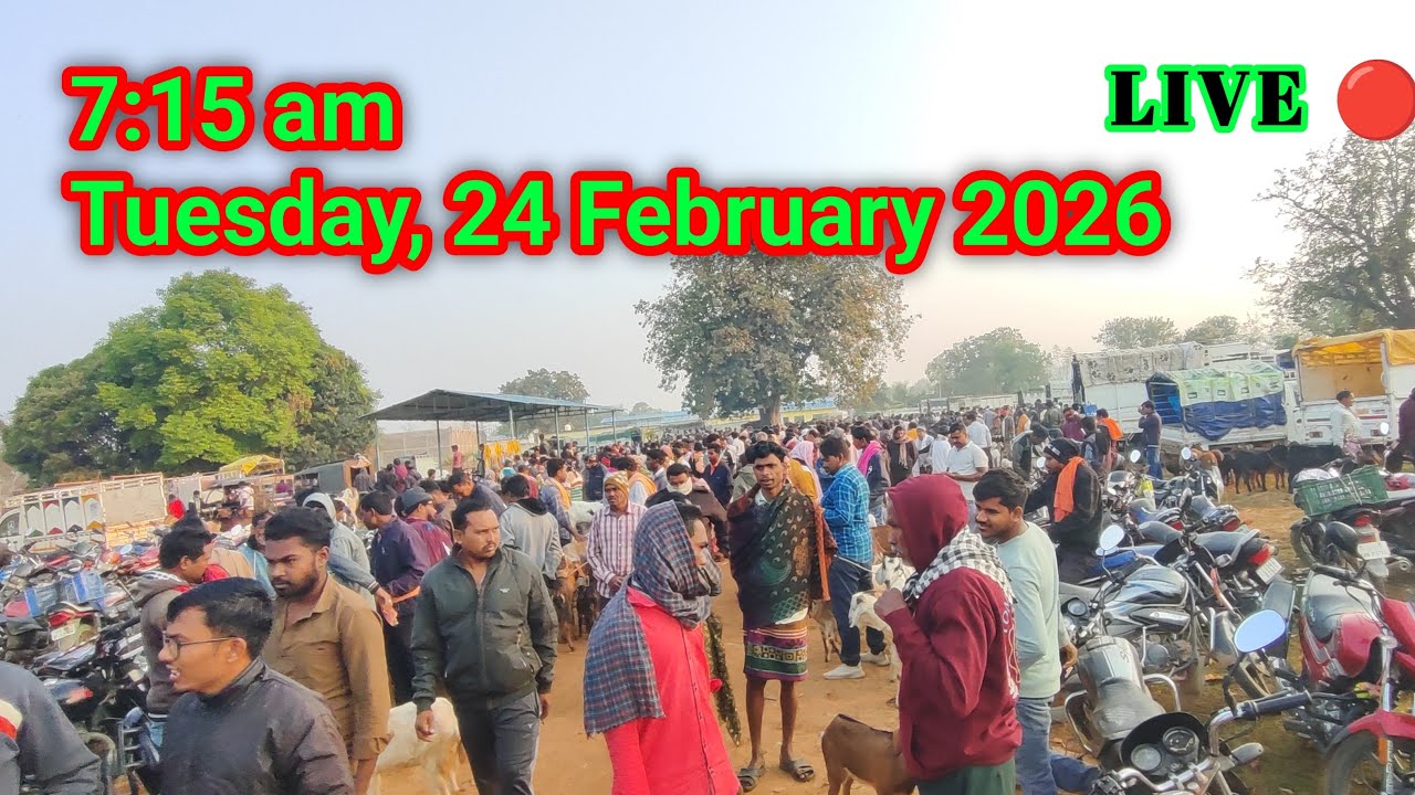 🔴 LIVE | Tuesday, 24 February 2026