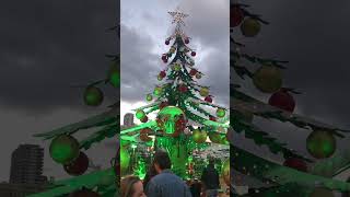 A Christmas Moment | Зимняя сказка | Féerie d’hiver