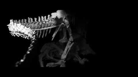 Smithsonian T-Rex, Autodesk 3DS Max, NVIDIA Omniverse