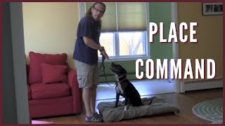 Place command How To Dog Training