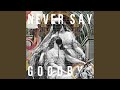 Never say goodbye