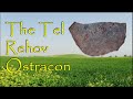 The tel rehov ostracon evidence for the prophet elisha