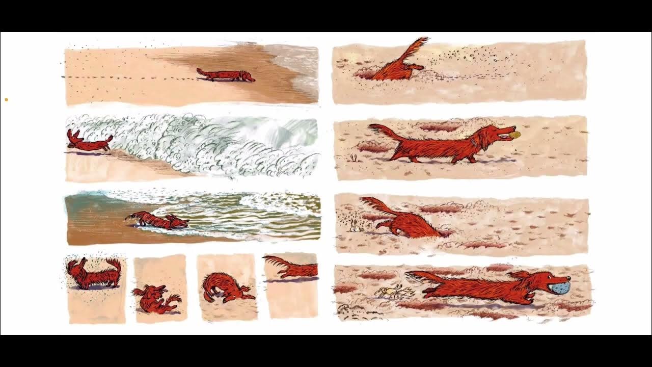 Final Project Reading of Hot dog by Doug Salati YouTube