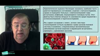 Вебинар Борисова В  В  «Мужское бесплодие   возможности терапии»