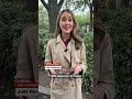 Reporter describes gunshots near White House