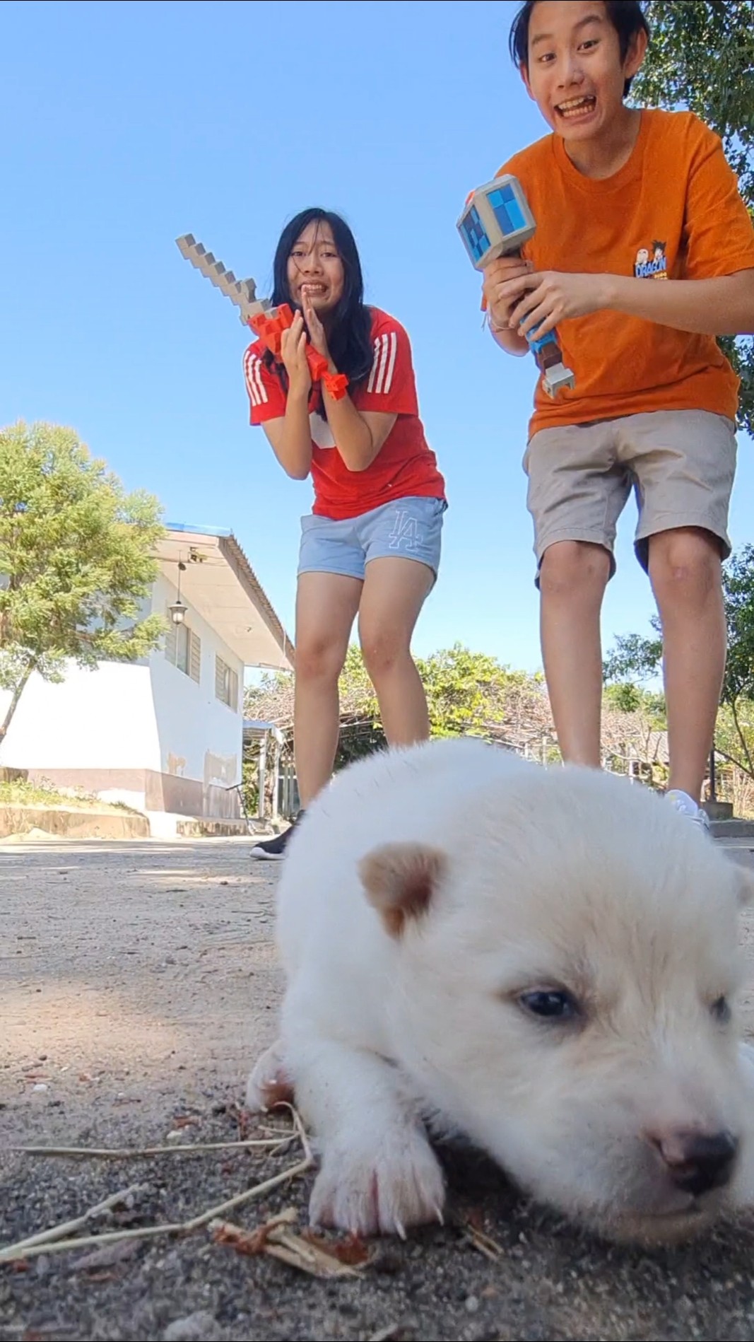 Unlucky Hero? and Lost Puppy‼️ | JJaiPan #Shorts #funnydogs